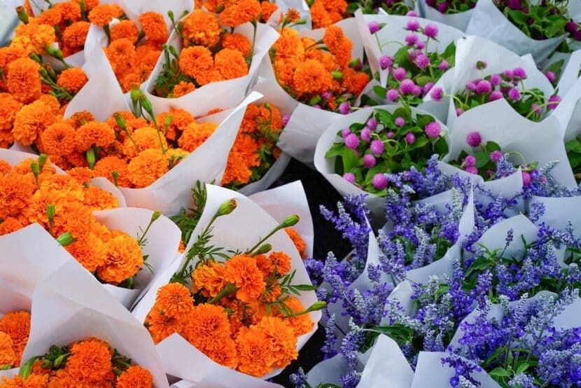 flowers